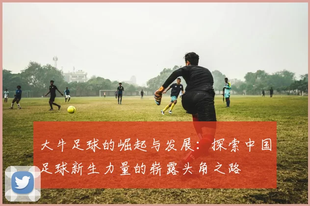 大牛足球的崛起与发展：探索中国足球新生力量的崭露头角之路