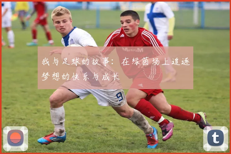 我与足球的故事：在绿茵场上追逐梦想的快乐与成长