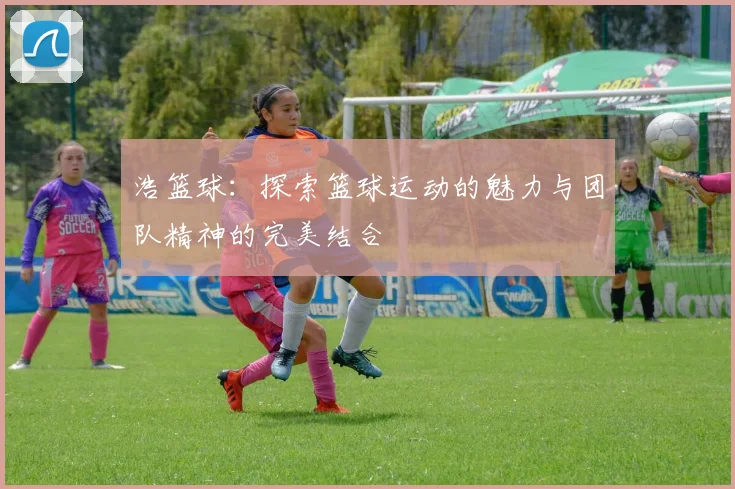 浩篮球：探索篮球运动的魅力与团队精神的完美结合